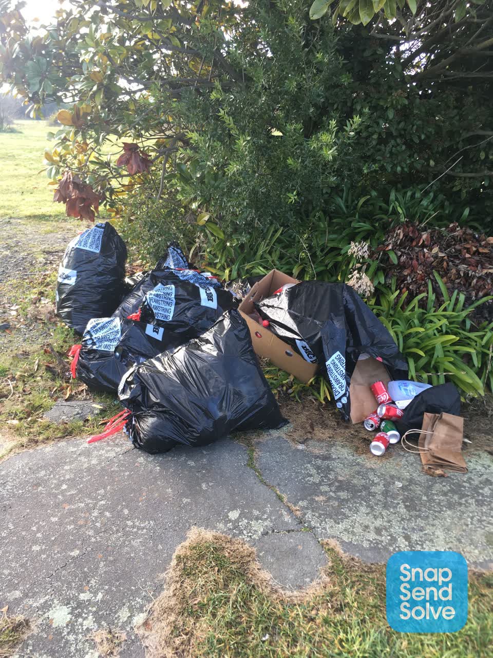 The photograph attached to this rubbish/recycling report