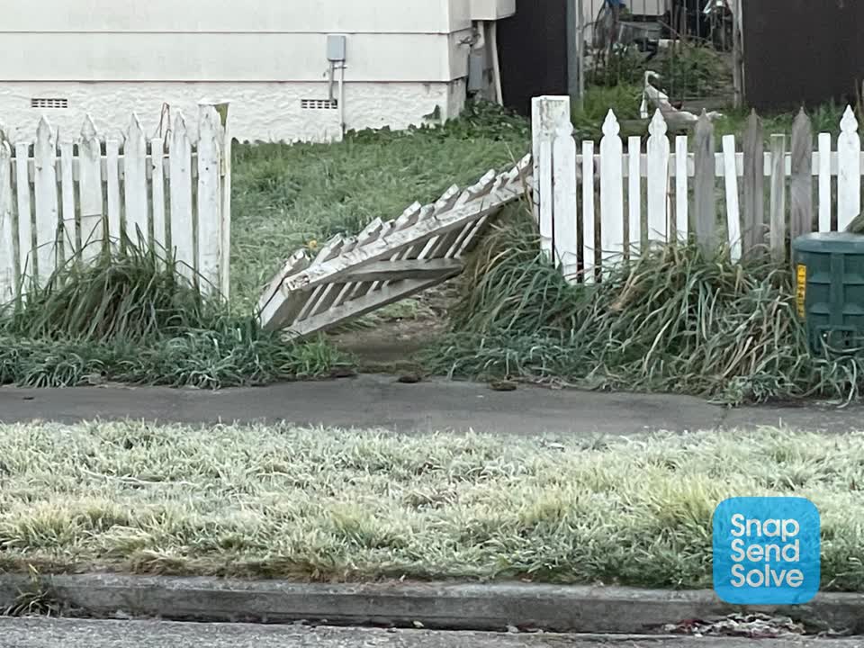 The photograph attached to this street light outage report