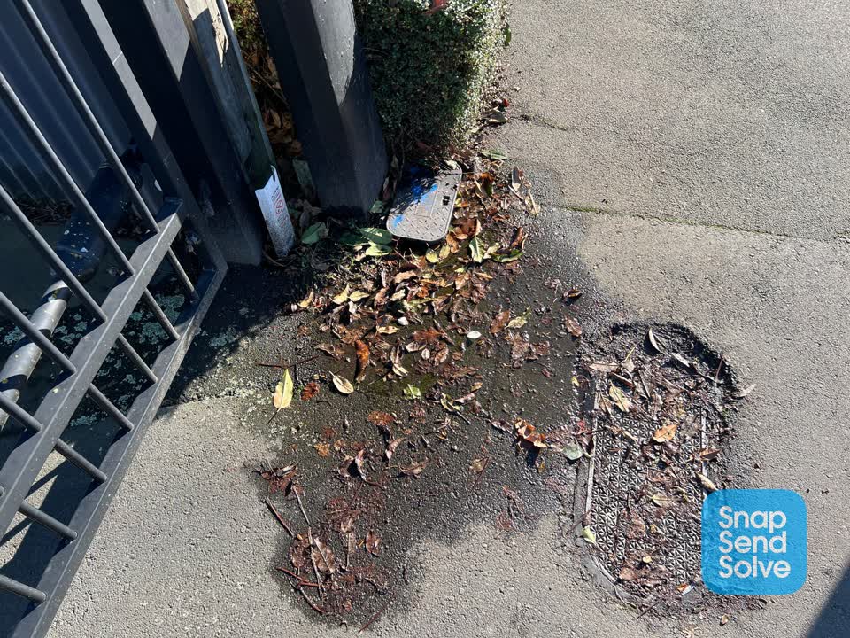 The photograph attached to this roading/streets report