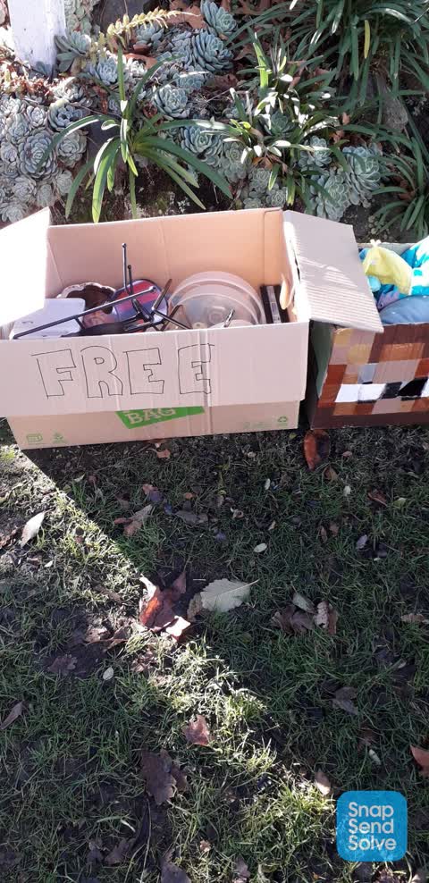 Rubbish/Recycling, a report photo