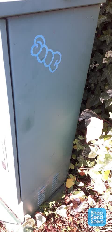 Graffiti, a report photo