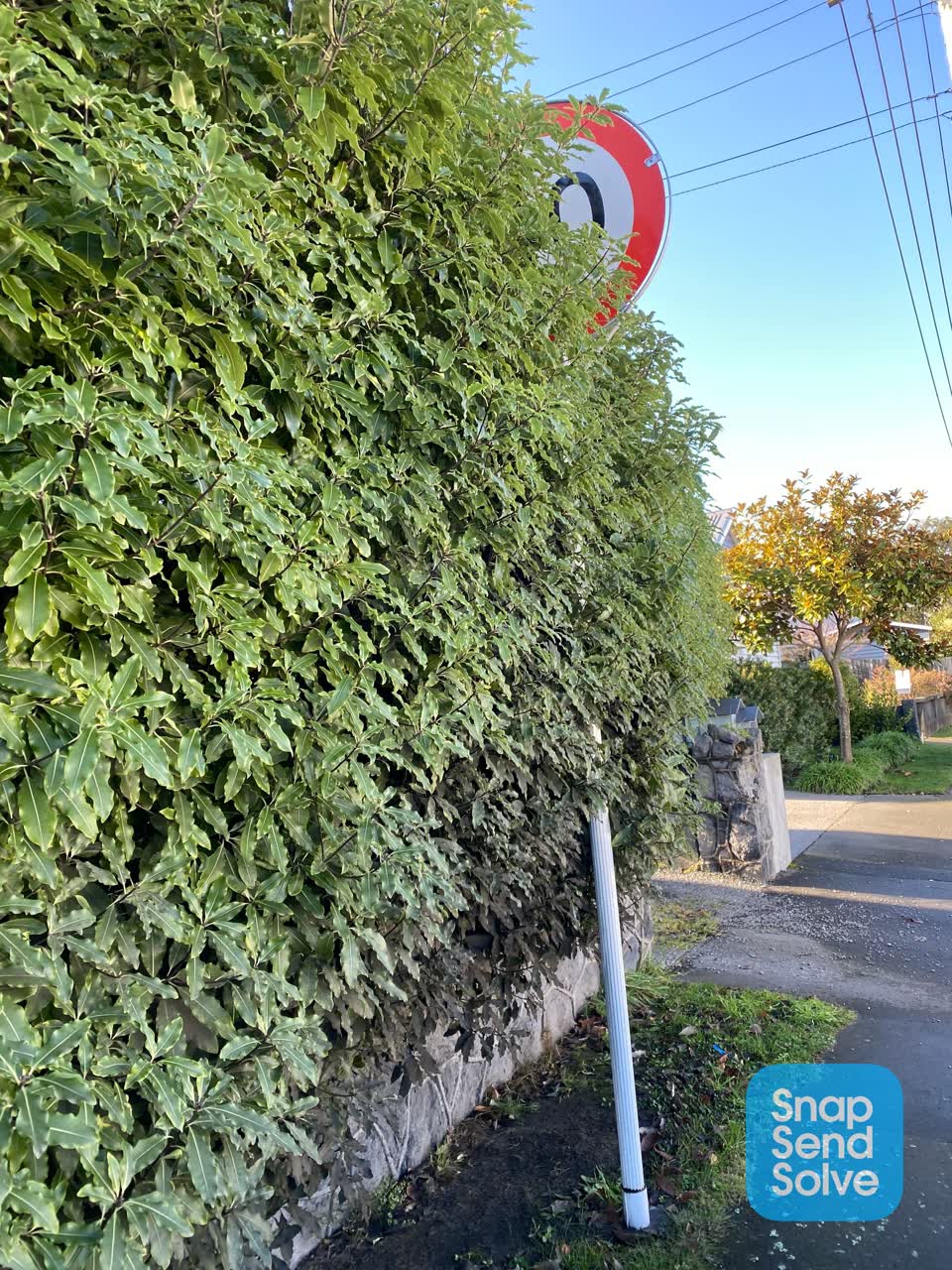 The photograph attached to this roading/streets report