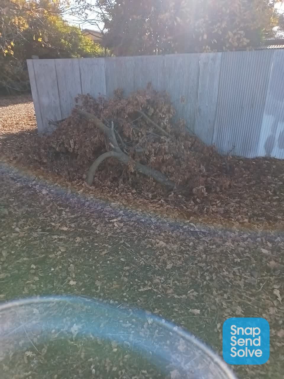 The photograph attached to this parks report