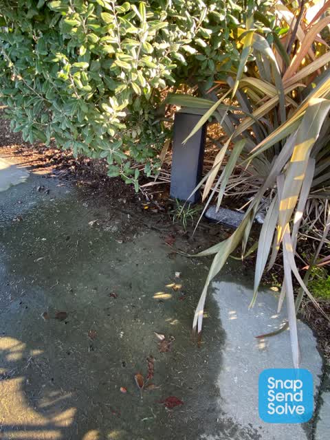 Water Supply, a report photo