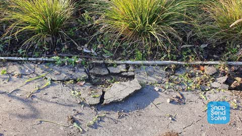 Roading/Streets, a report photo