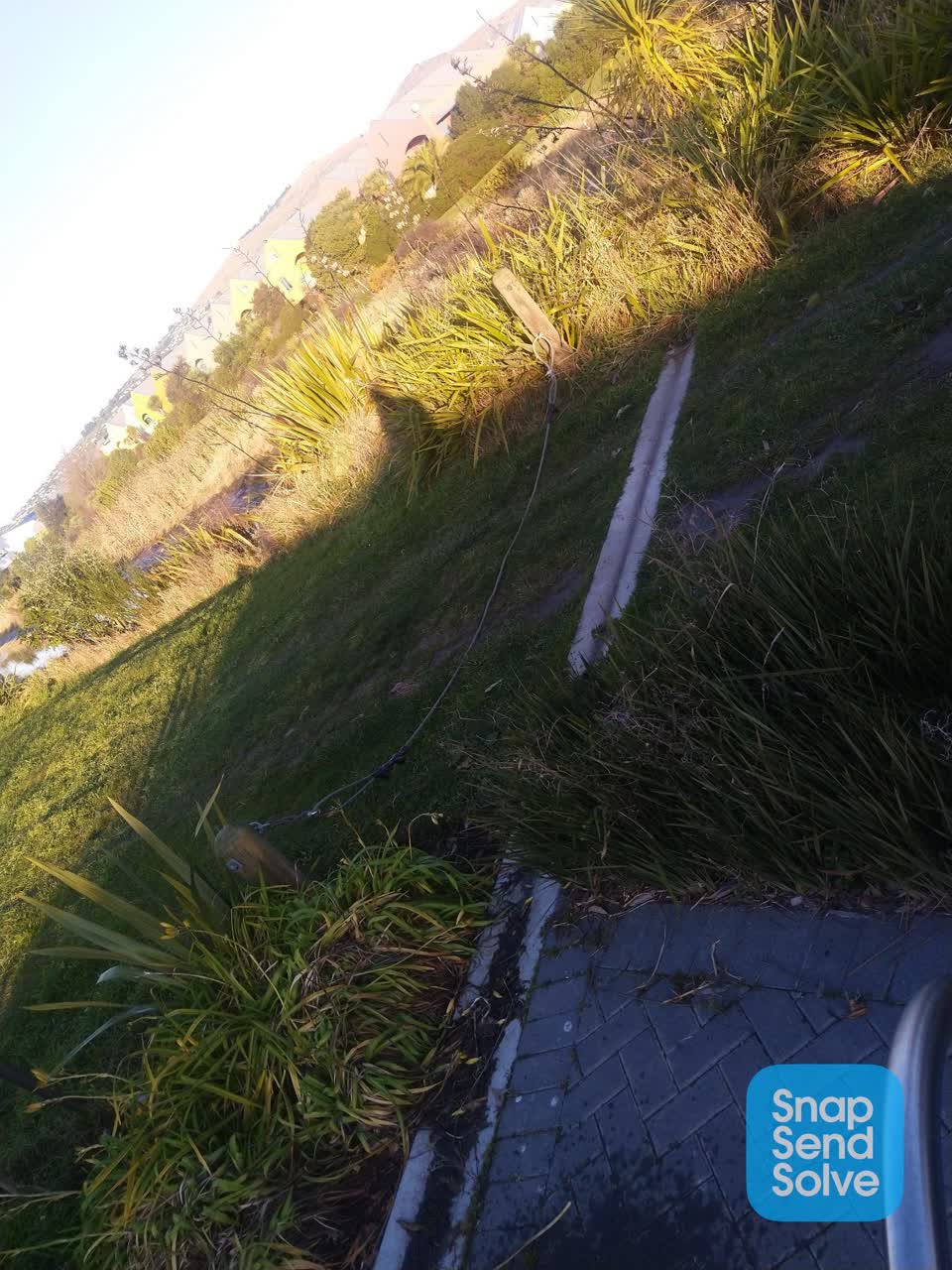 The photograph attached to this parks report