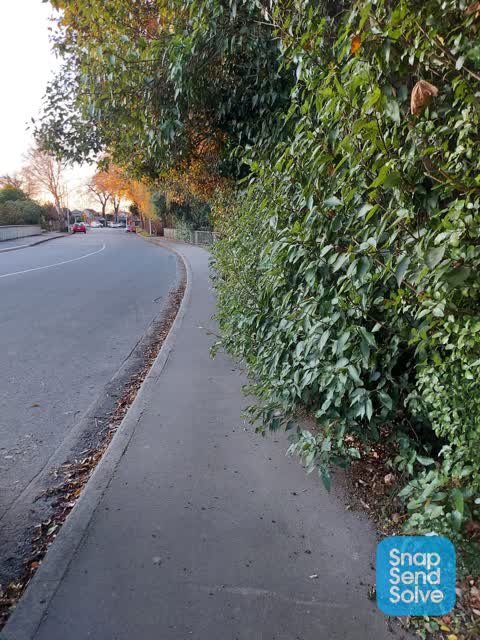 Roading/Streets — a report photo