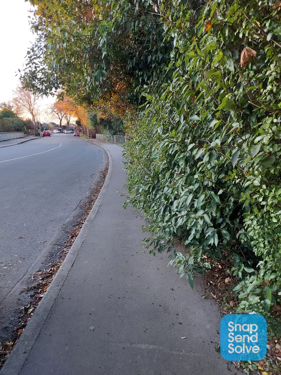 The photograph attached to this roading/streets report