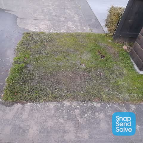 Water Leak, a report photo