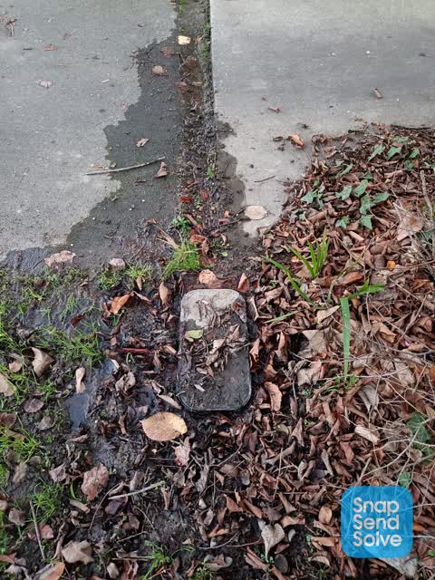 Water Leak, a report photo