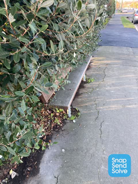 Roading/Streets, a report photo