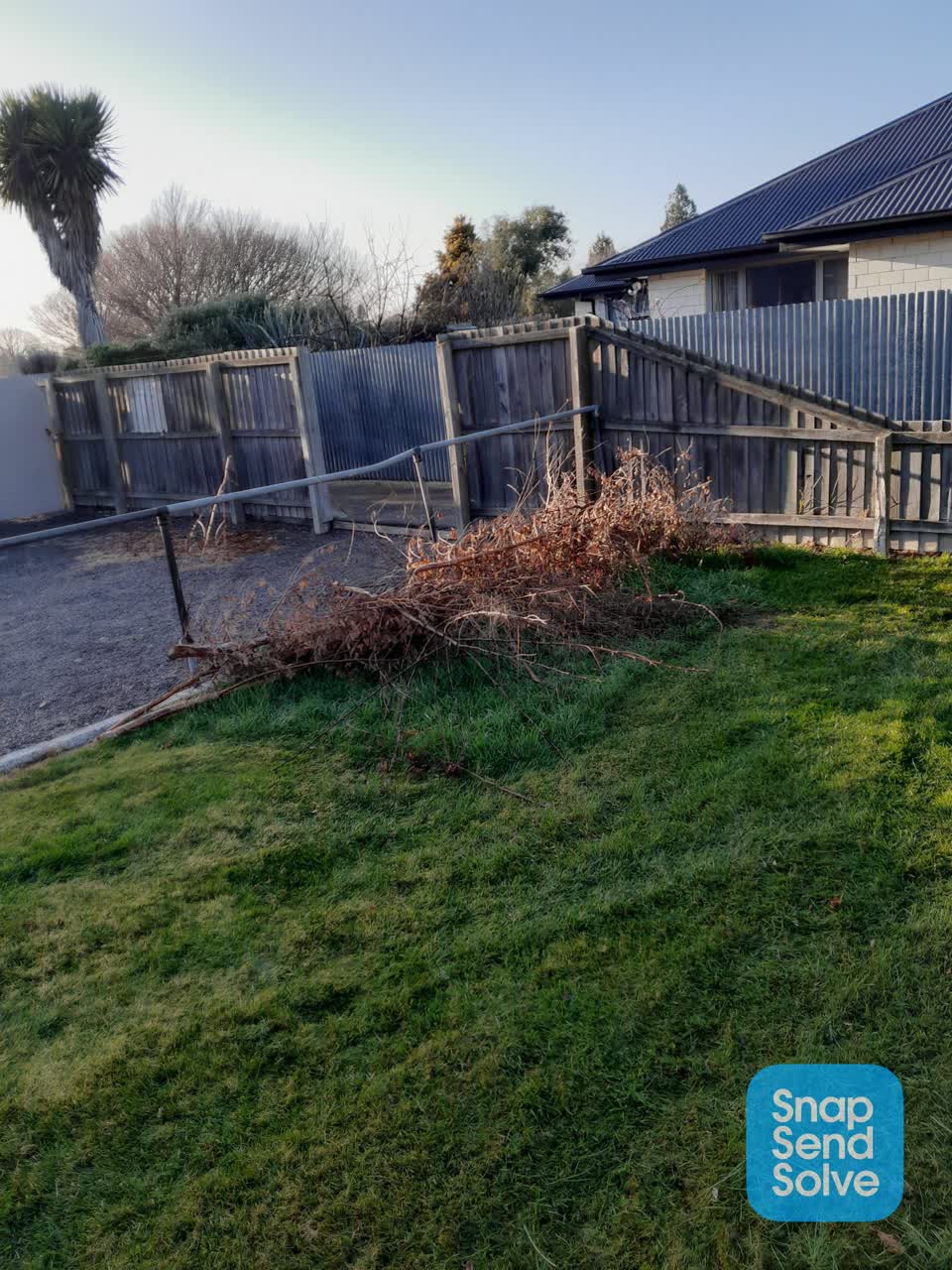 The photograph attached to this parks report