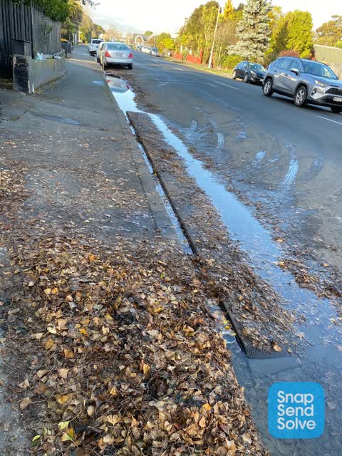 Roading/Streets, a report photo