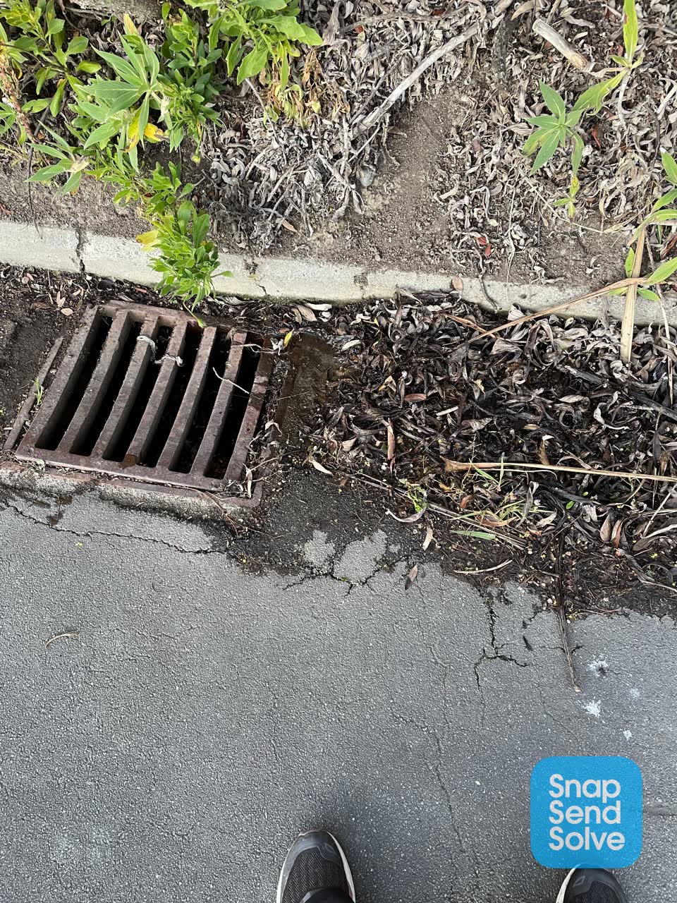 The photograph attached to this wastewater/stormwater report