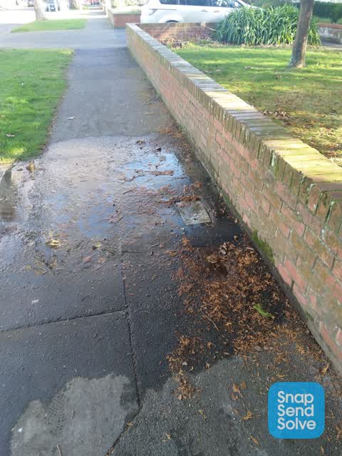 Water Leak, a report photo