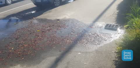 Water Leak, a report photo