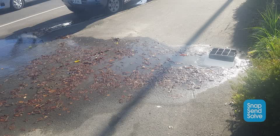 The photograph attached to this water leak report