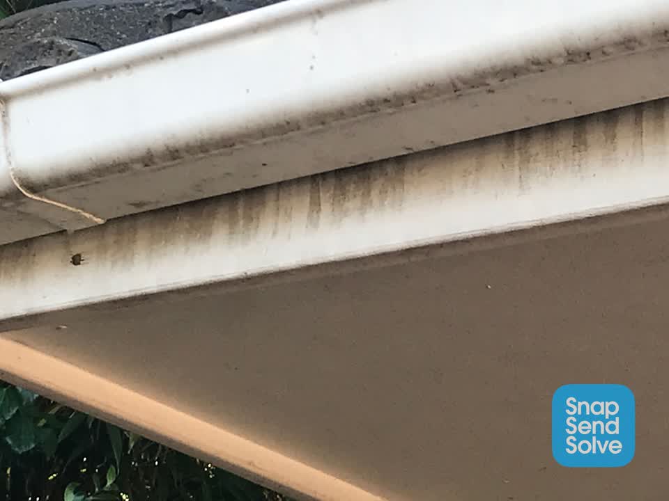 The photograph attached to this sewer odour report