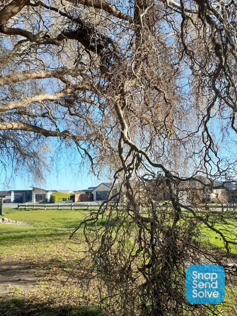 Parks, a report photo