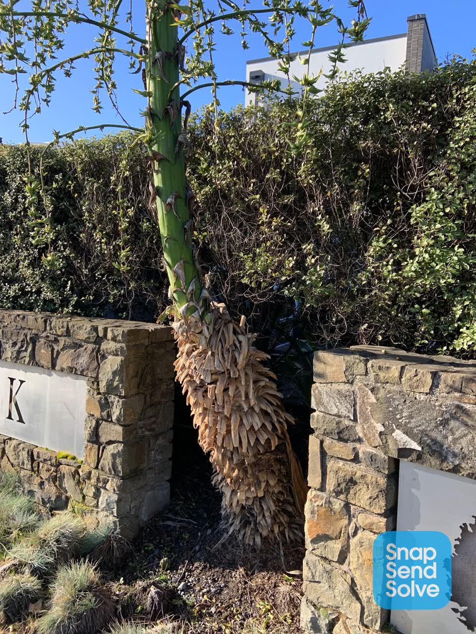 The photograph attached to this parks report