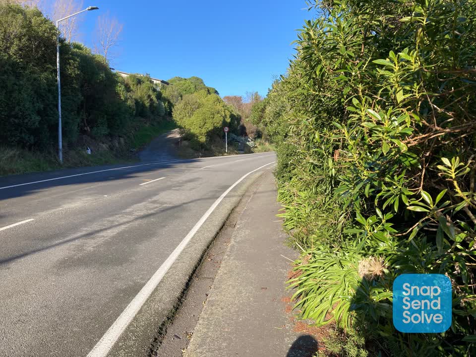 The photograph attached to this roading/streets report