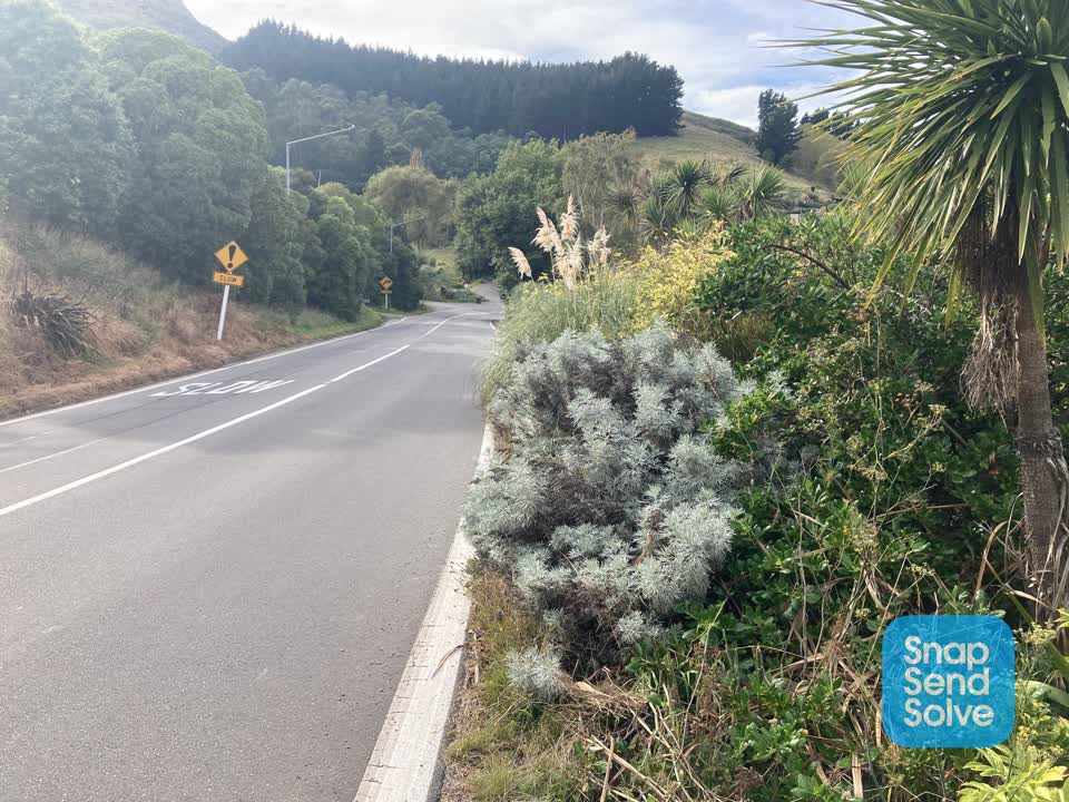 The photograph attached to this roading/streets report
