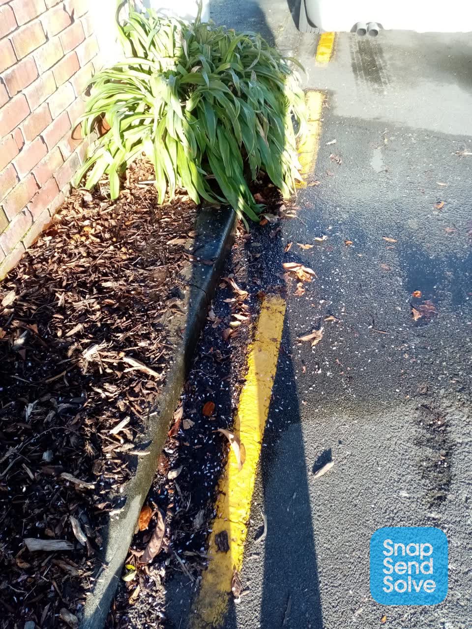 The photograph attached to this water leak report