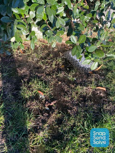 Water Leak, a report photo