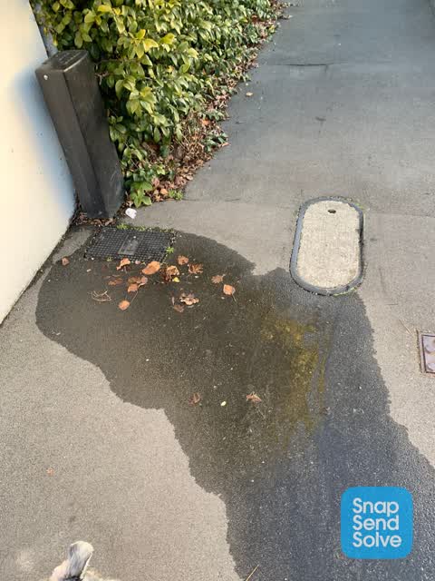 Water Leak, a report photo