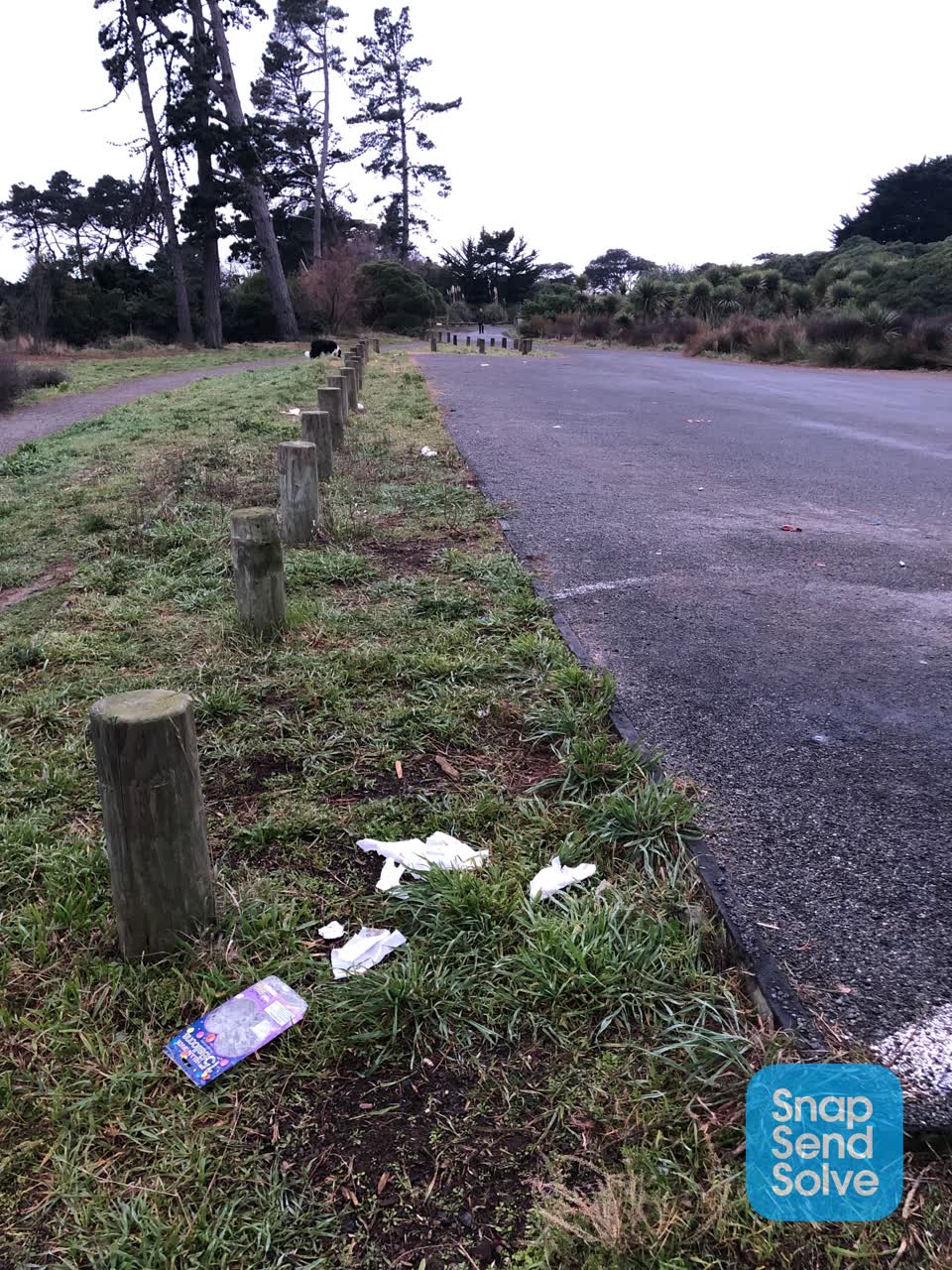 The photograph attached to this parks report