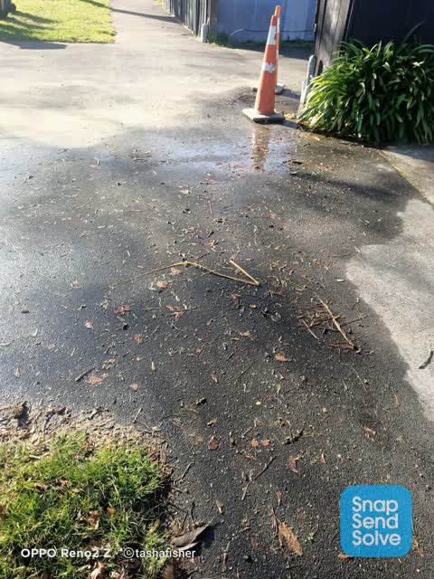Water Leak, a report photo