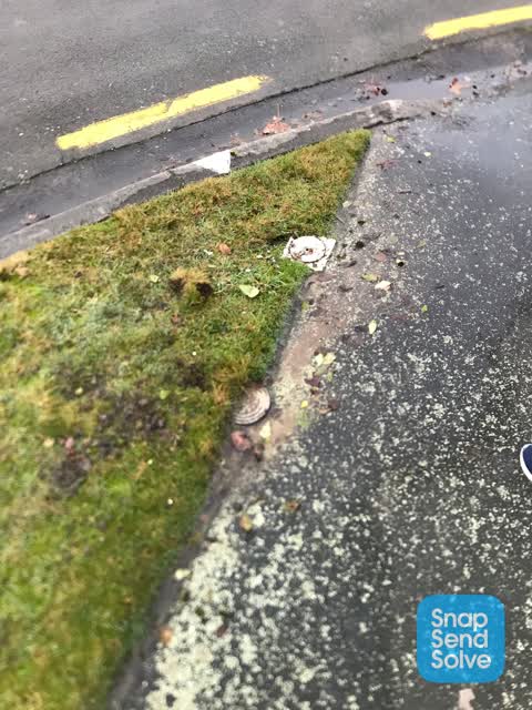 Water Leak, a report photo
