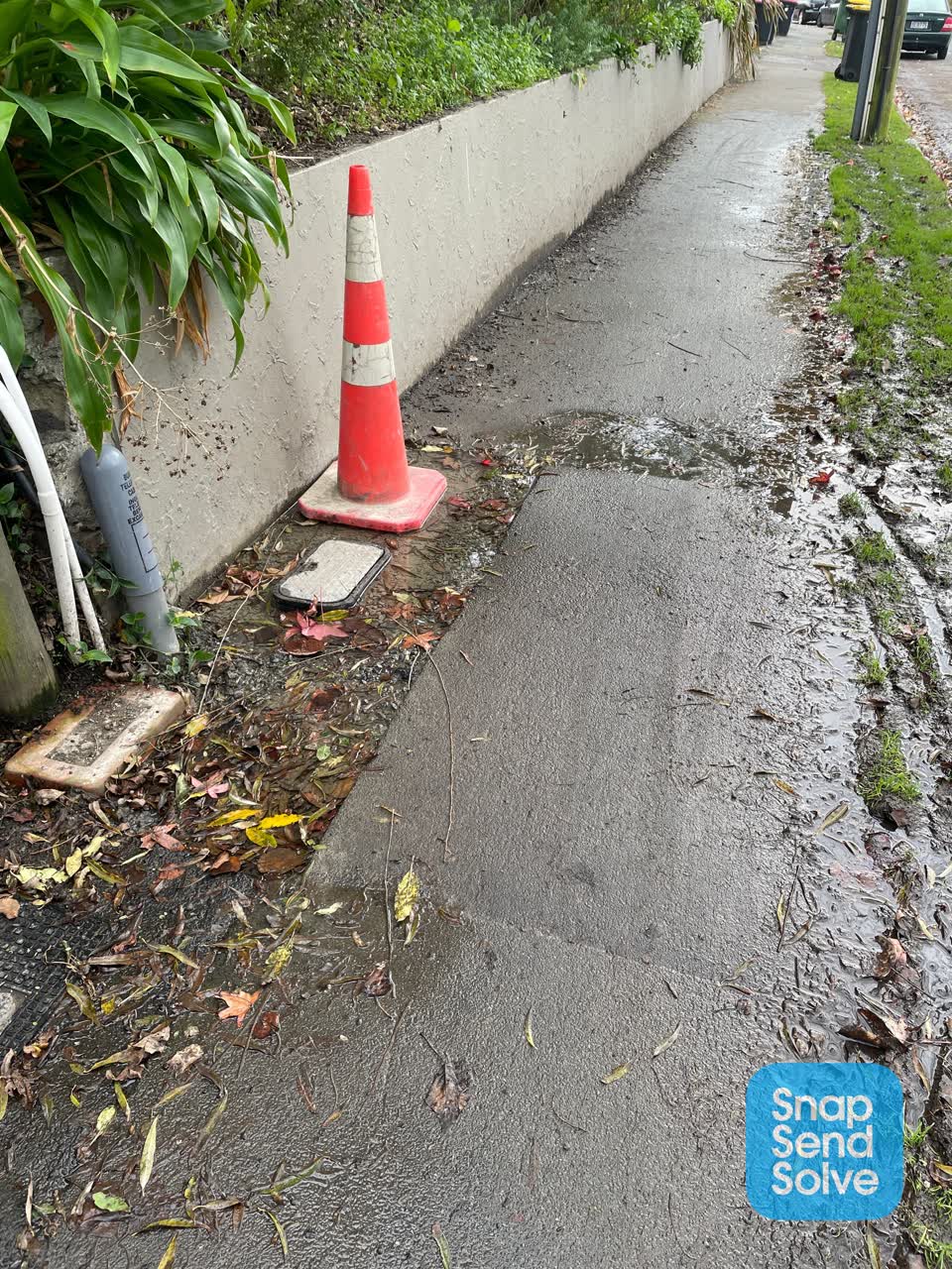 The photograph attached to this water leak report
