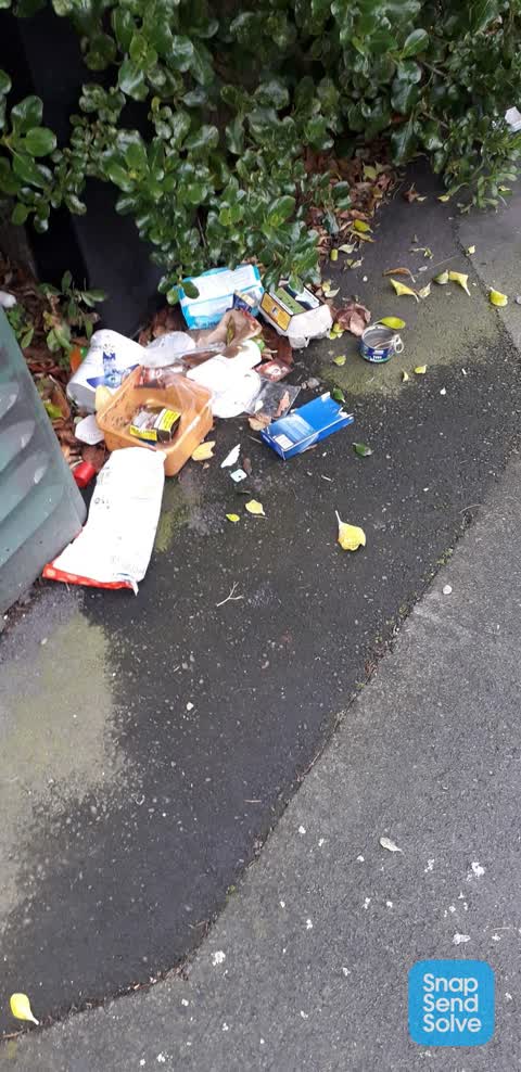 Rubbish/Recycling, a report photo