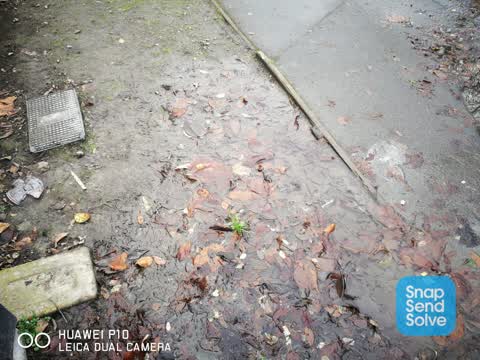 Water Leak, a report photo