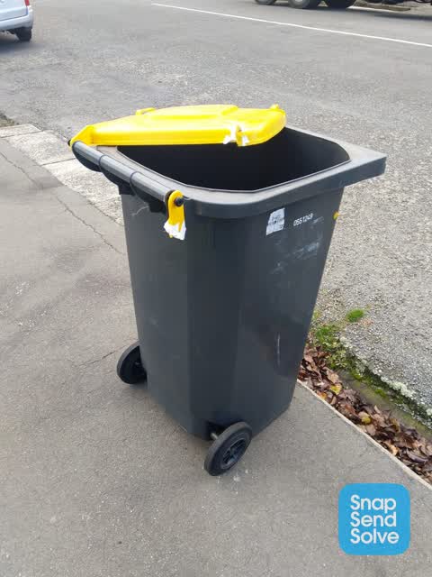 Rubbish/Recycling, a report photo