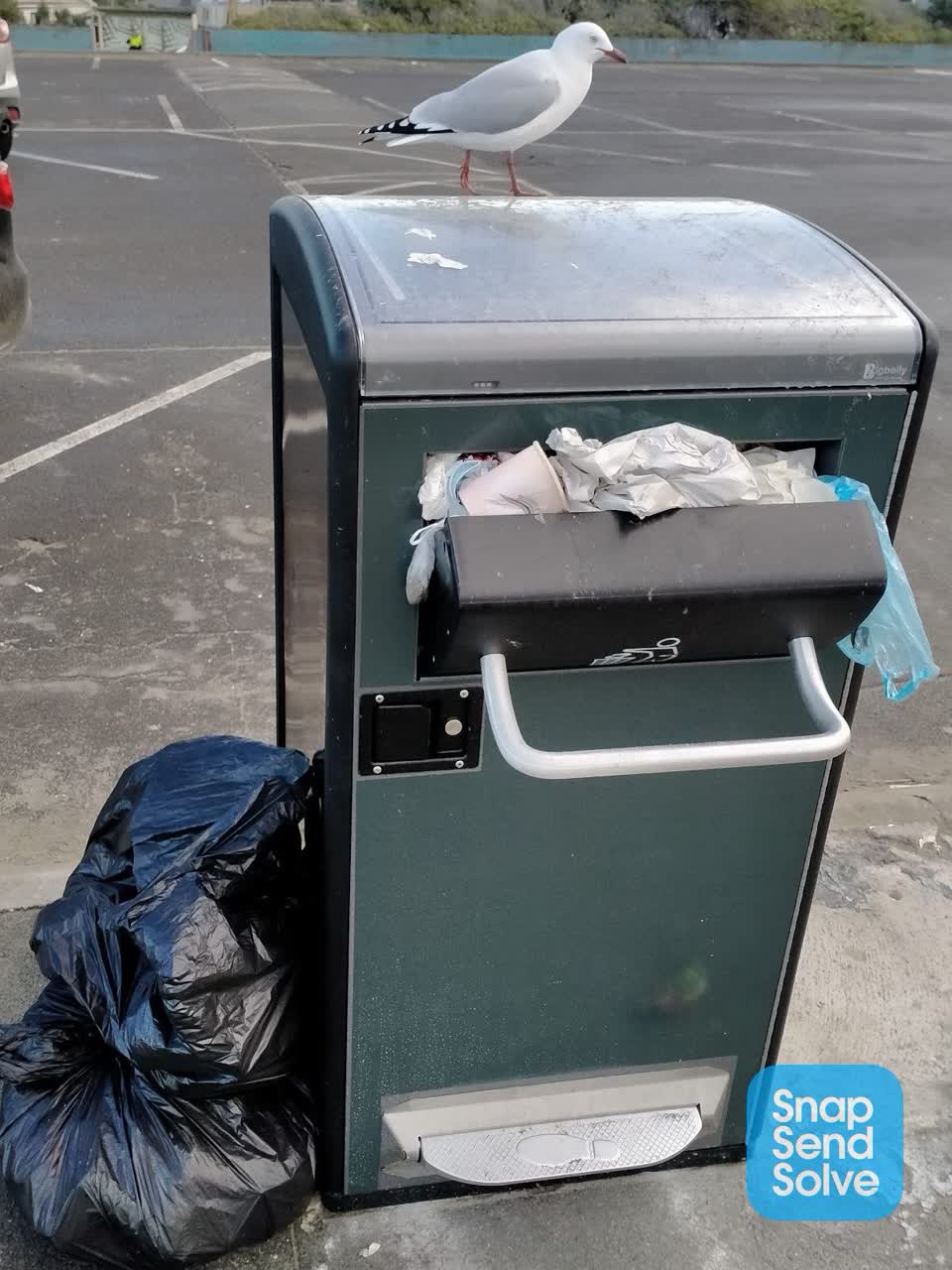 The photograph attached to this rubbish/recycling report