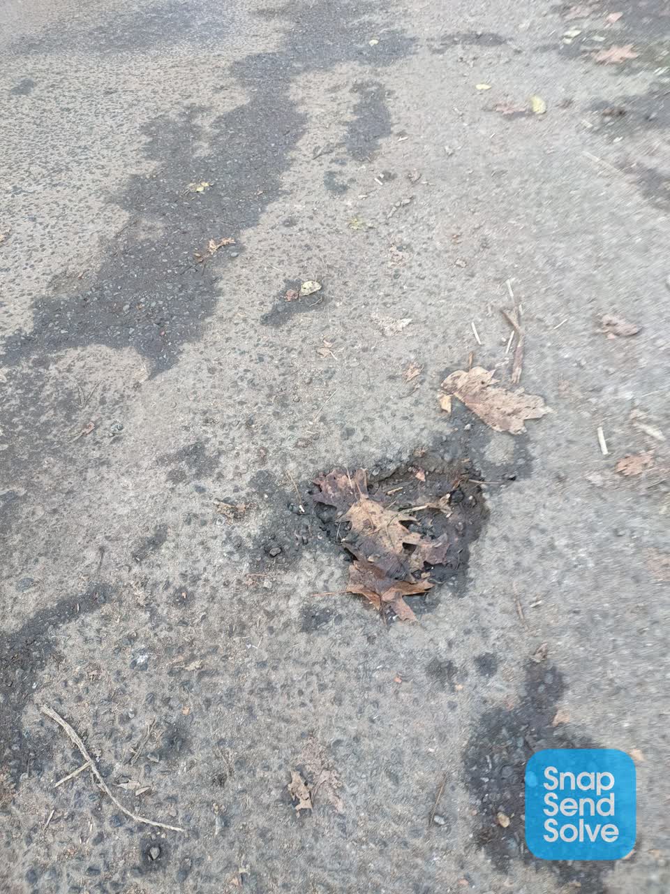 The photograph attached to this roading/streets report