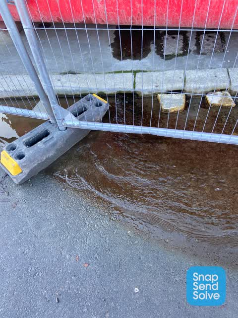 Water Leak, a report photo