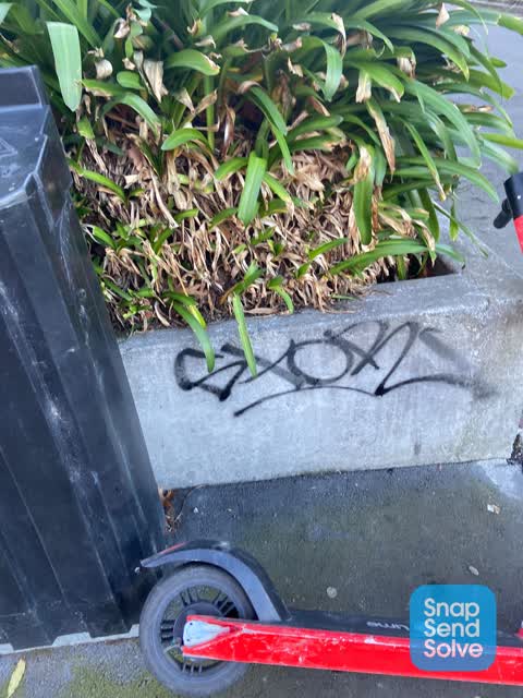 Graffiti, a report photo