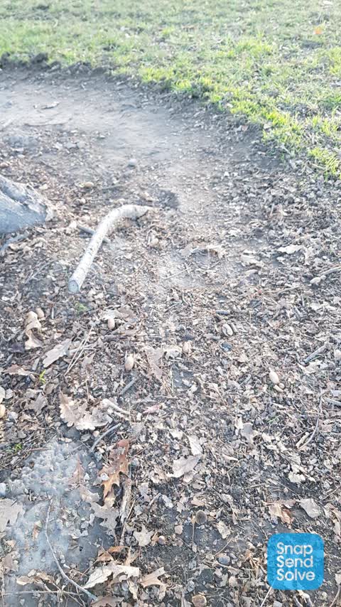 Parks — a report photo