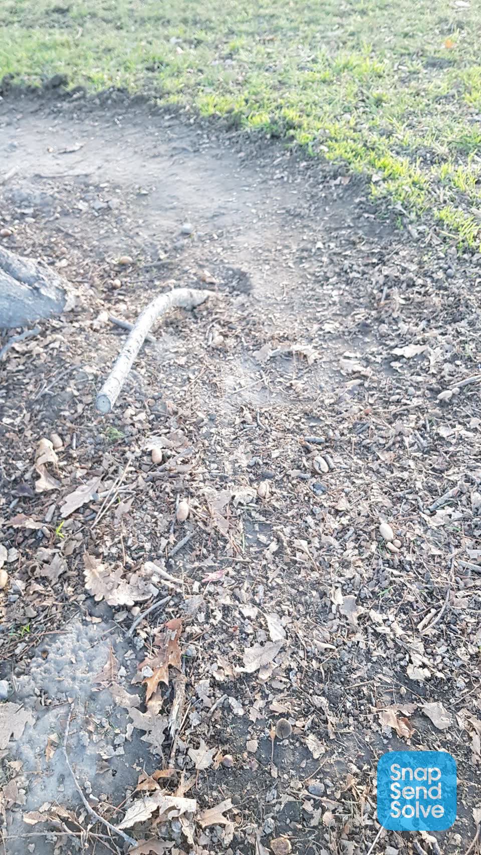 The photograph attached to this parks report