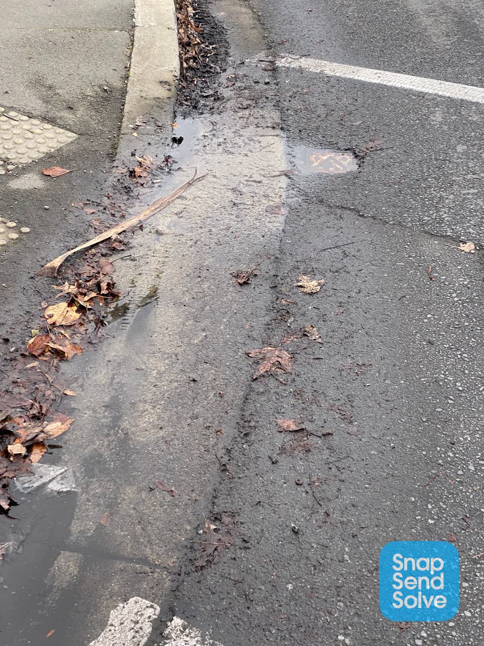 The photograph attached to this water leak report