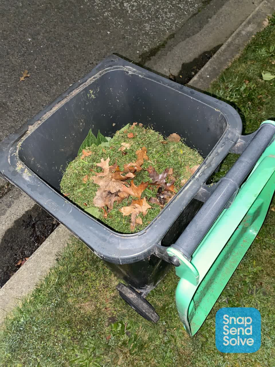 The photograph attached to this rubbish/recycling report