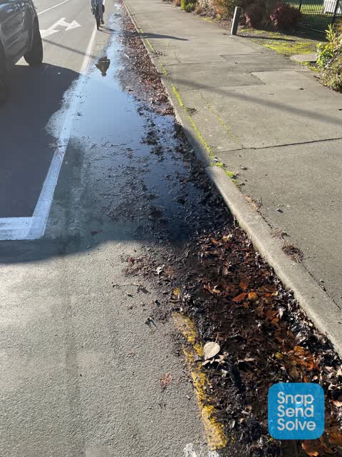 Water Leak — a report photo