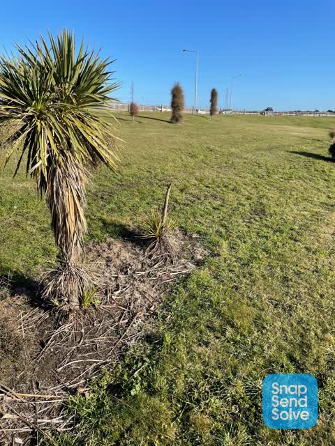 Parks, a report photo