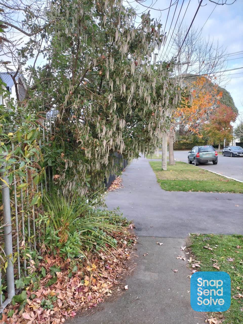 The photograph attached to this roading/streets report