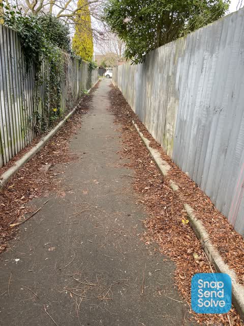 Parks, a report photo