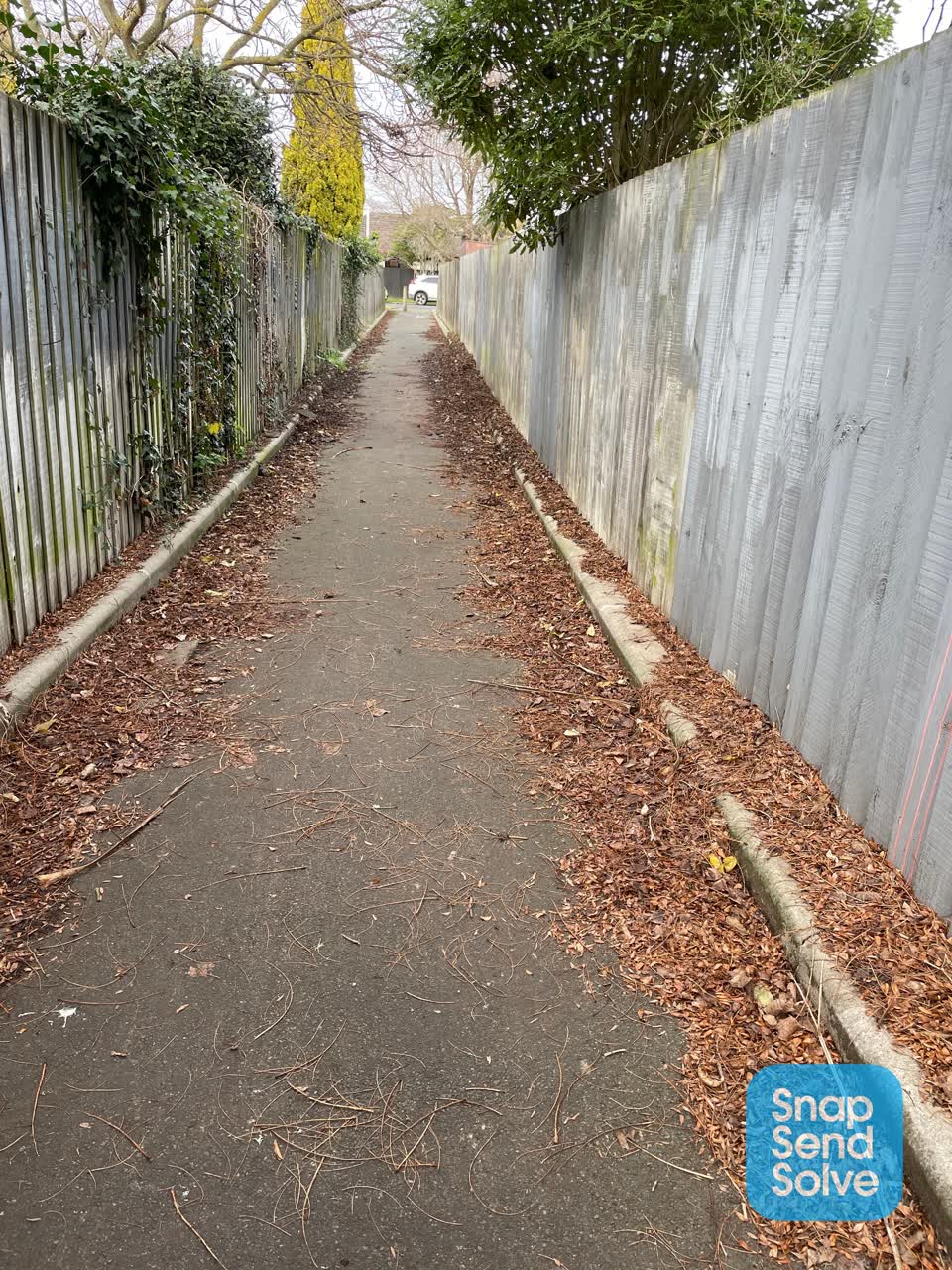 The photograph attached to this parks report
