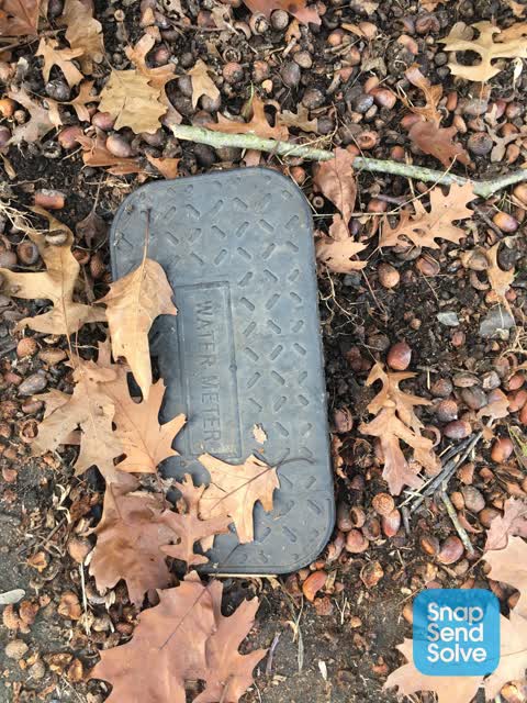 Roading/Streets, a report photo